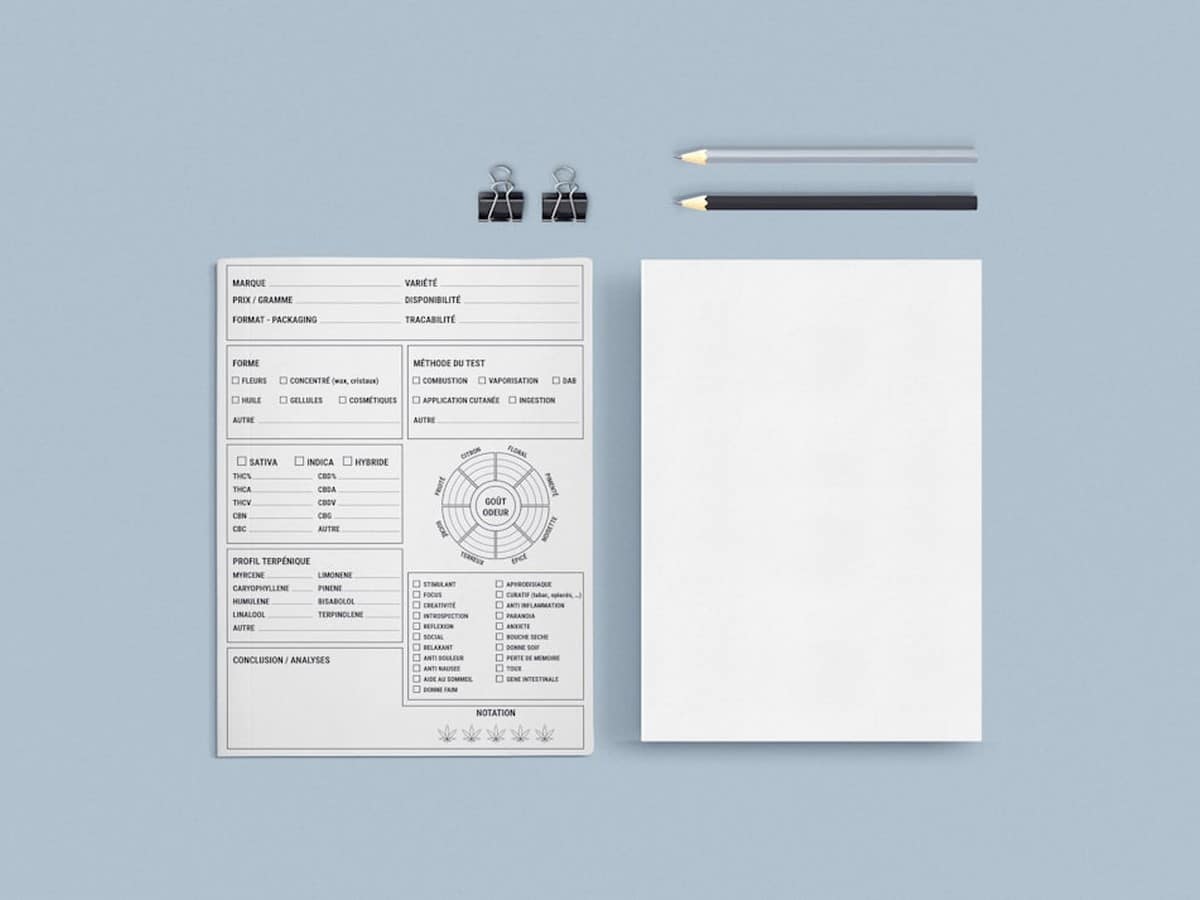 Paper bill and pencil on a blue surface, representing line-item review of a Texas electricity bill