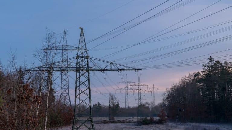 Power lines stretching across a frosty wooded landscape at dusk, illustrating the Texas power grid in a winter storm