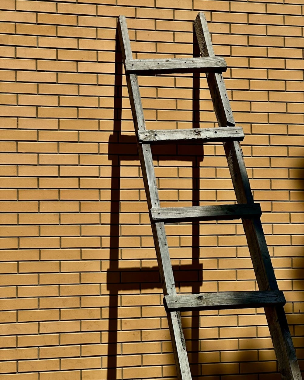 Ladder against a brick wall, representing the 21-10-15 Dispute Ladder for Texas electric bill complaints